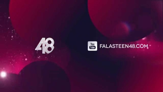 قناة فلسطين 48