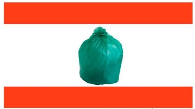 Lebanese Flag- You Stink