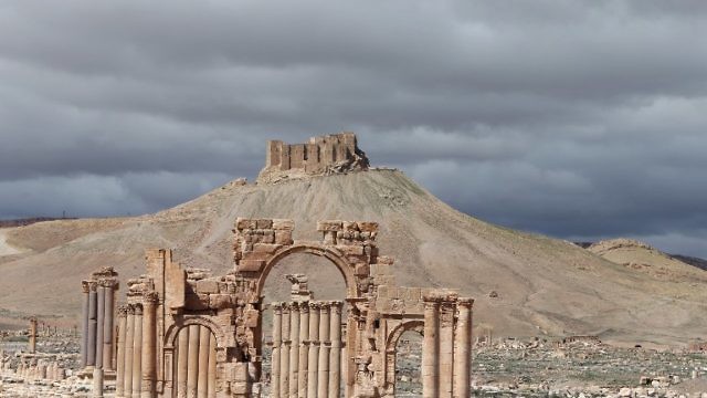 مدينة تدمر (AFP)