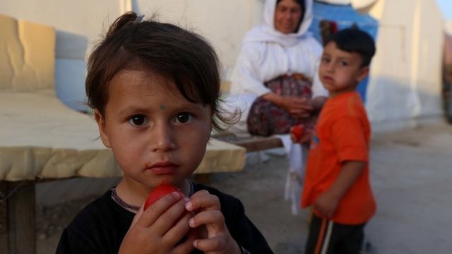 لاجؤون يزيديون في كردستان العراقية (AFP)