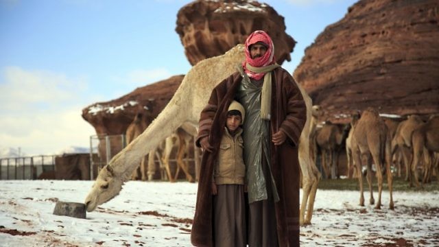 الثلج يغطي المملكة العربية السعودية عام 2013 (AFP)