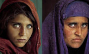 اللاجئة الأفغانية شربات جولا (ستيف ماكوري)