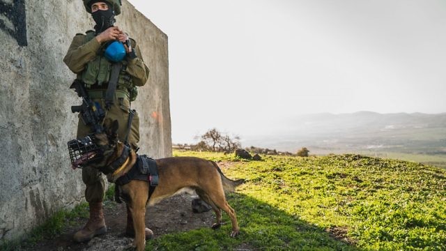 مقاتلون إسرائيليون في تدريب خاص برفقة الكلاب المدربة (Flickr IDF)