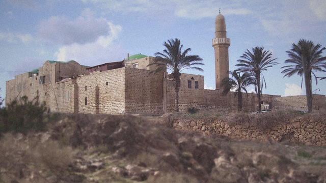 مسجد سيدنا علي شمال مدينة يافا (Wikipedia)