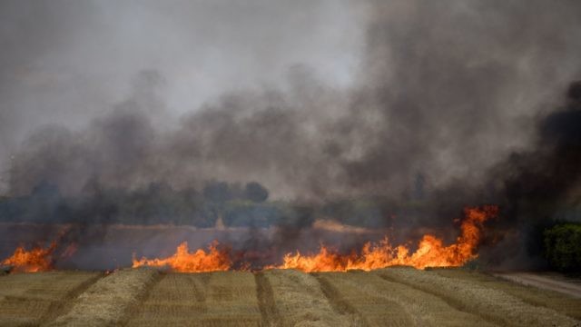 نيران تلتهم المحاصيل في جنوب إسرائيل جراء حرائق سببها طائرات ورقية حارقة من غزة (Yonatan Sindel/Flash90)