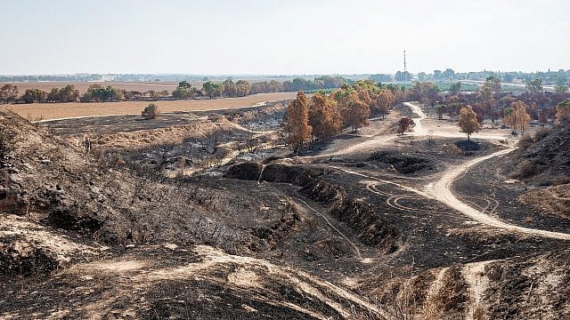 جانب من الأحراش المحروقة في محيط غزة جرّاء البالونات الحارقة (Dario Sanchez/Flash90)